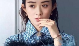 娱乐圈爆料李易峰赵丽颖,娱乐圈恋情曝光引热议